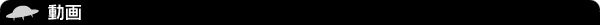 UFO動画